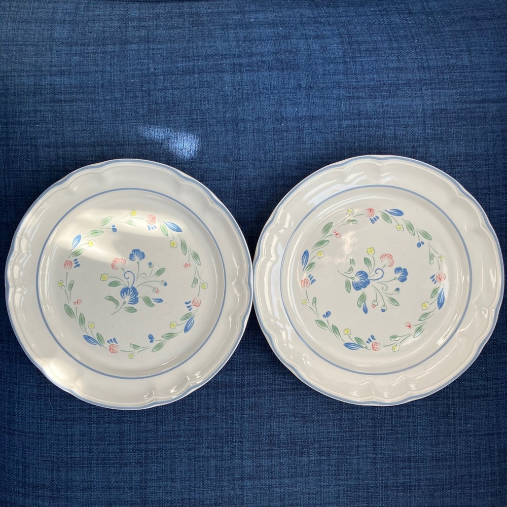Floral‎ Expressions Stoneware Salad Plates Set of 2 Blue Floral Japan 7.5 Inch
